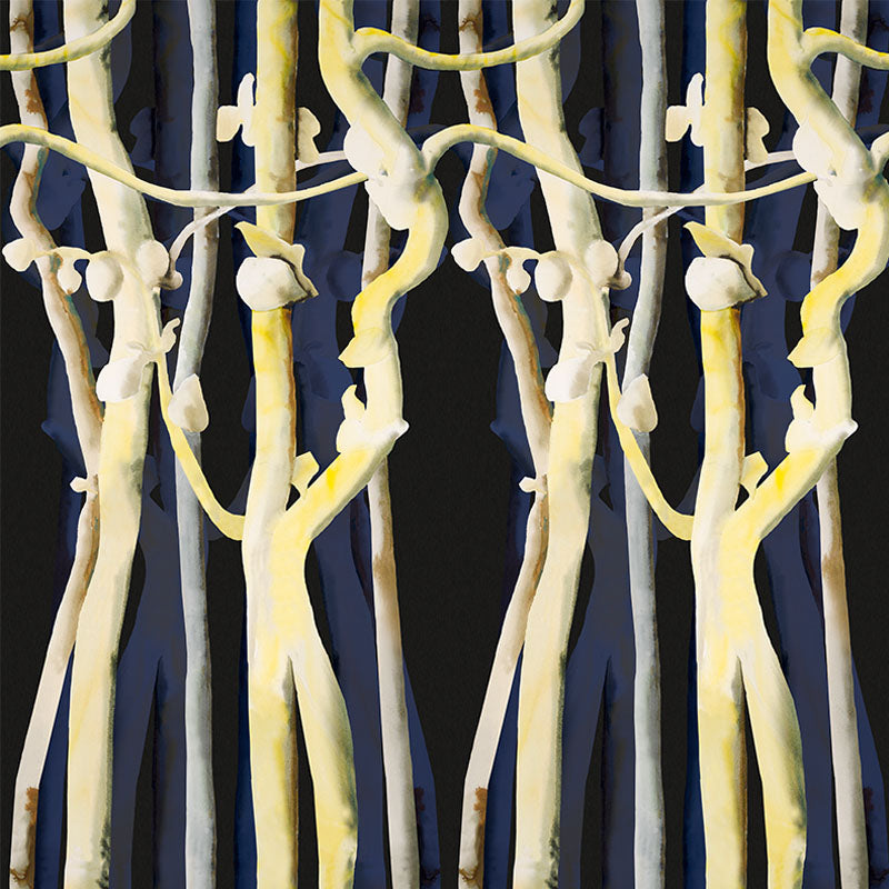 bluebranch.blackback.repeat_800x800_d01bafc8-adda-446f-a128-d42738ea4106.jpg