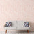 bonny-breytenbach-pop-coral-450x450.jpg