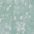 bonny-breytenbach-rattle-sage-on-soft-grey-450x450.jpg