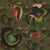 brown.green_.cyclamen_800x800_8d06dfa6-9330-4736-b6d3-b99cc8718fa9.jpg