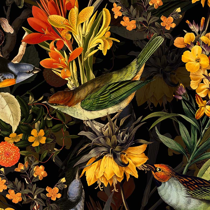 colorful-birds-and-Redoute-flowers-Black_800x800_7b9c7128-4364-434a-9277-1b6bb860b5bc.jpg