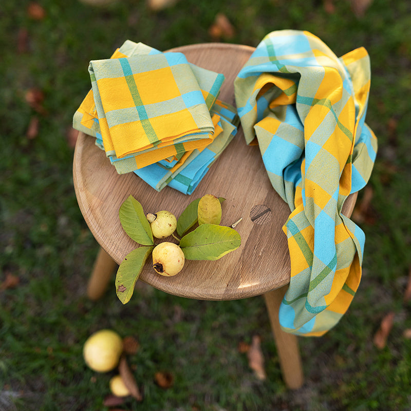 croton yellow lifestyle 2.jpg