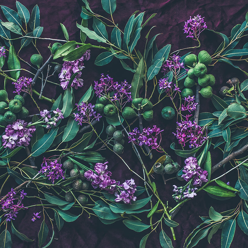 exotic-garden-Flat-image.jpg
