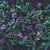 exotic-garden-Flat-image.jpg