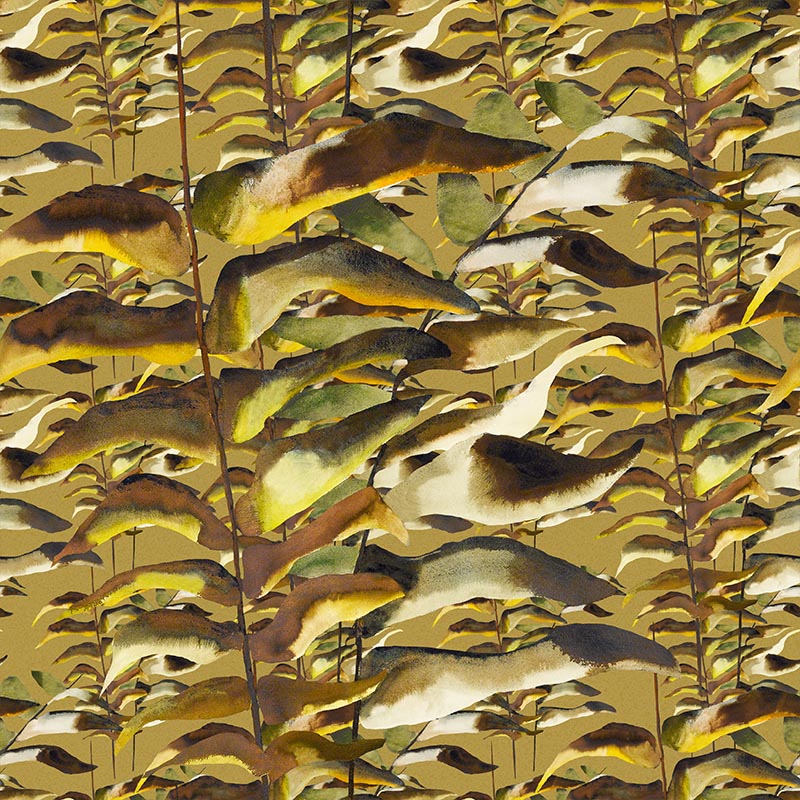gold.22A.thousand.ferns22_800x800_efebf41d-d9db-4404-aa8f-575efe88be5a.jpg