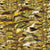gold.22A.thousand.ferns22_800x800_efebf41d-d9db-4404-aa8f-575efe88be5a.jpg