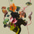 green.twistinging-cyclamen_800x800_39be20d1-7c49-46c7-8cbb-79c2ffb217f2.jpg