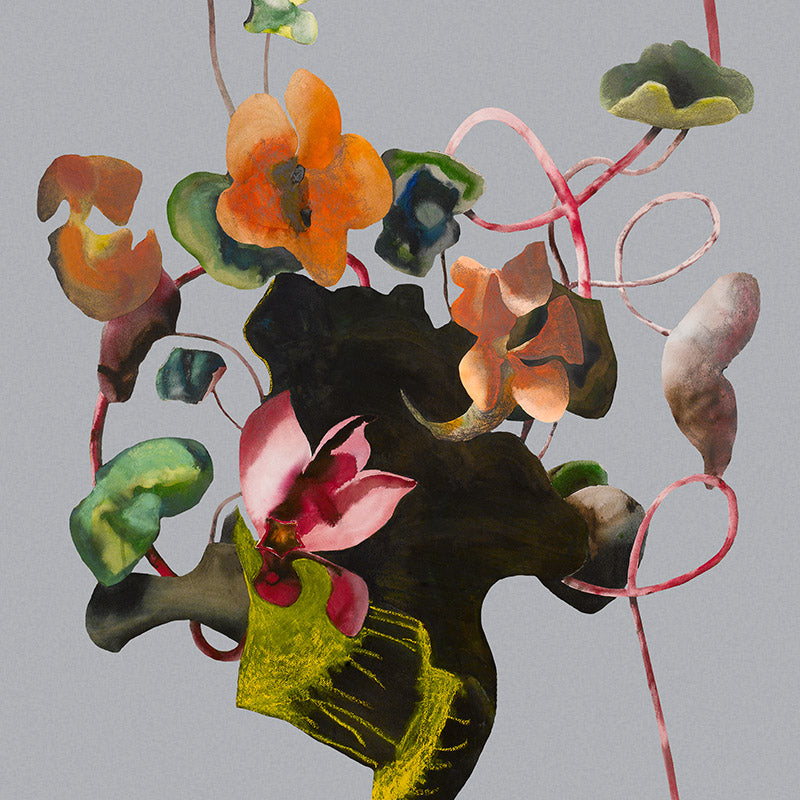 grey.twistinging-cyclamen_800x800_01f92b35-4823-427a-bb47-391dfadfa86f.jpg