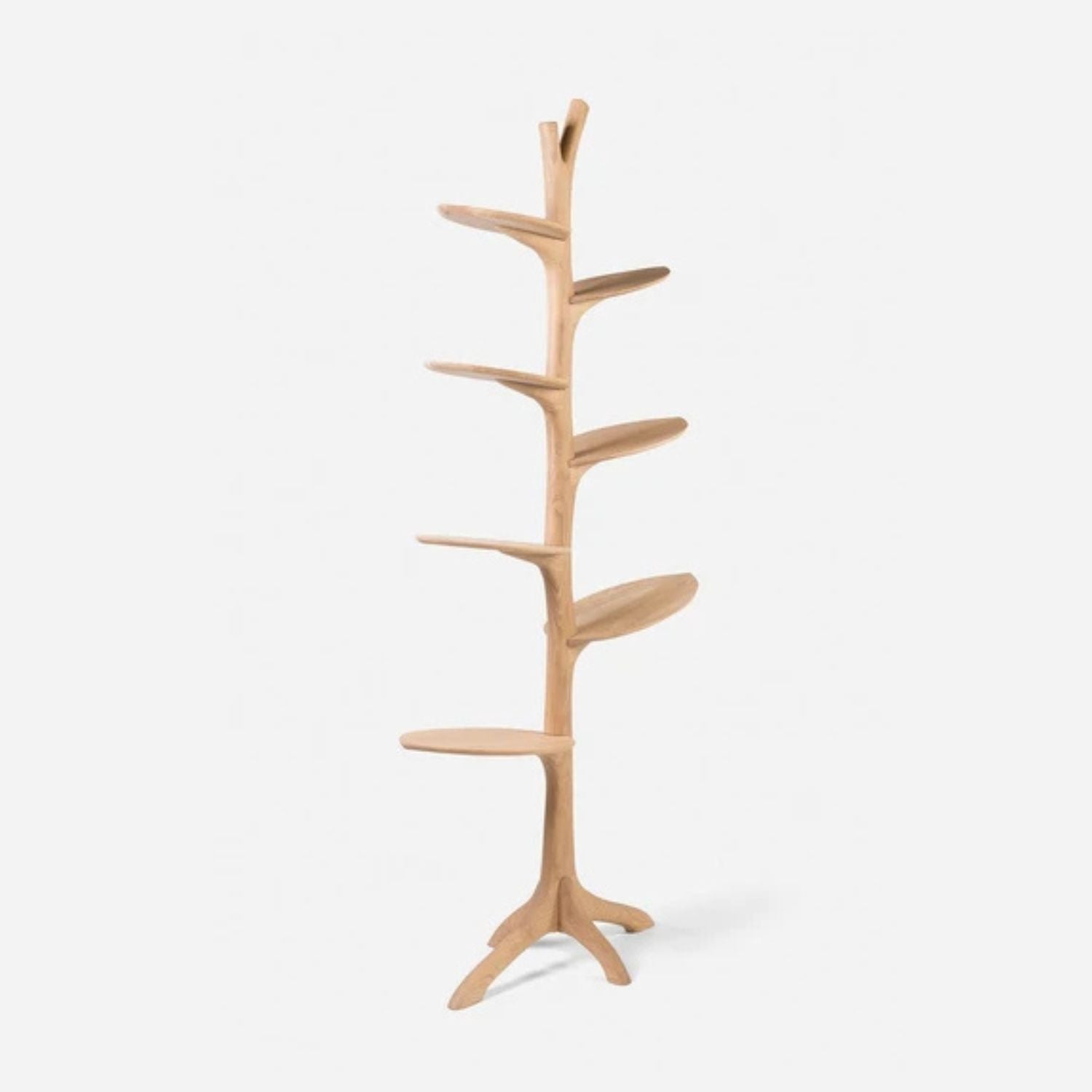Leaf Bookshelf
