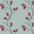 magnolia_bblue_thumbnail.png