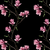 magnolia_black_thumbnail.png