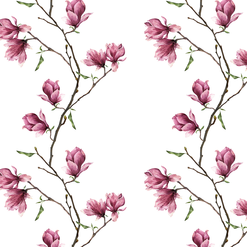 magnolia_white_thumbnail.png