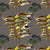 purple.Golden.ferns_800x800_247fd7f6-3b49-43ef-938e-5e8af1fa872c.jpg