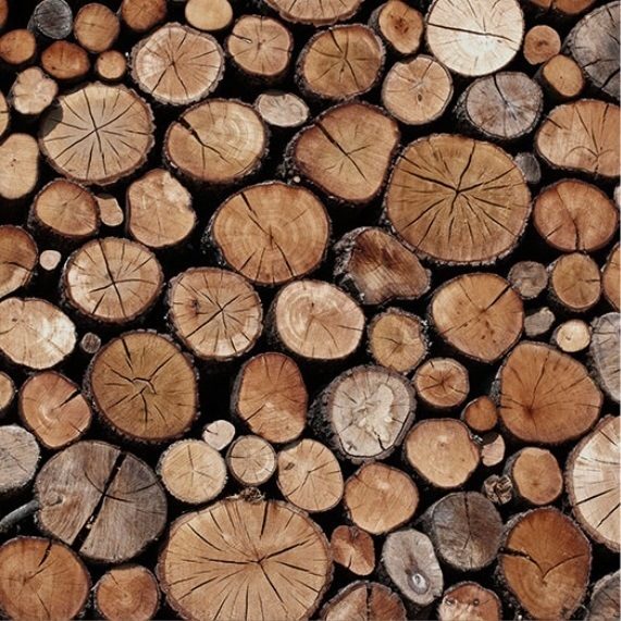 robin-sprong-wood-log-e1468591401836.jpg