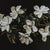 sweet-magnolia-Flat-Image.jpg
