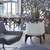 terra_20small_1d4b920c-3c0f-4fc1-9336-1c9341dcb892.png
