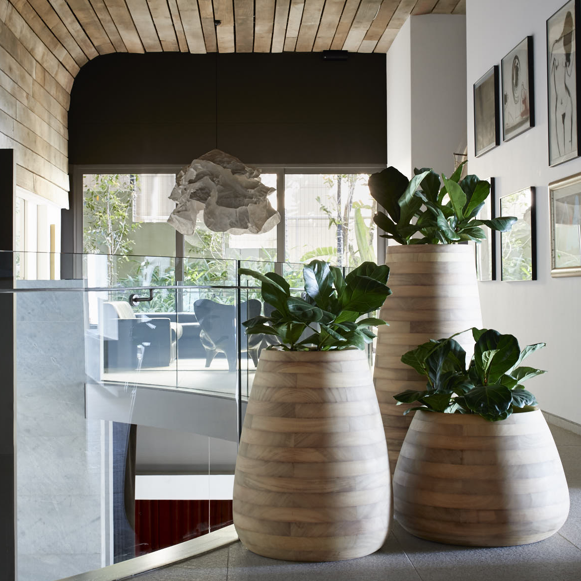 tuber house plants Tuber Planter Wood