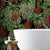 uon_dancing_aloes_1_detail.jpg