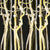 yellowbranch.blackback_800x800_a3a0b87d-946c-4cea-9076-df3e053dc7e8.jpg