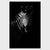 zebraprofile_2_a5944bc2-031c-4610-85ae-63c3b3d03377.jpg