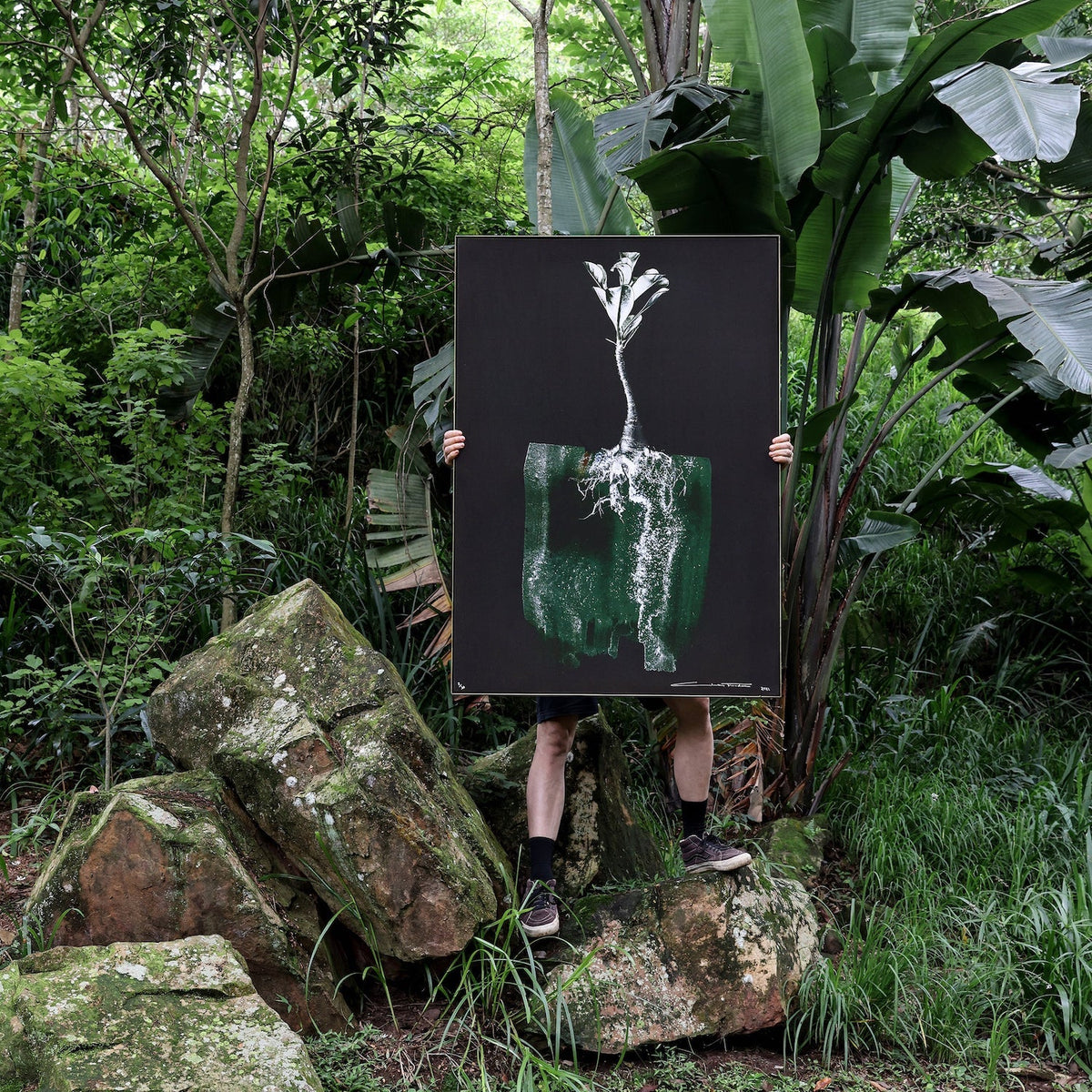 040A1117_square copy.jpeg