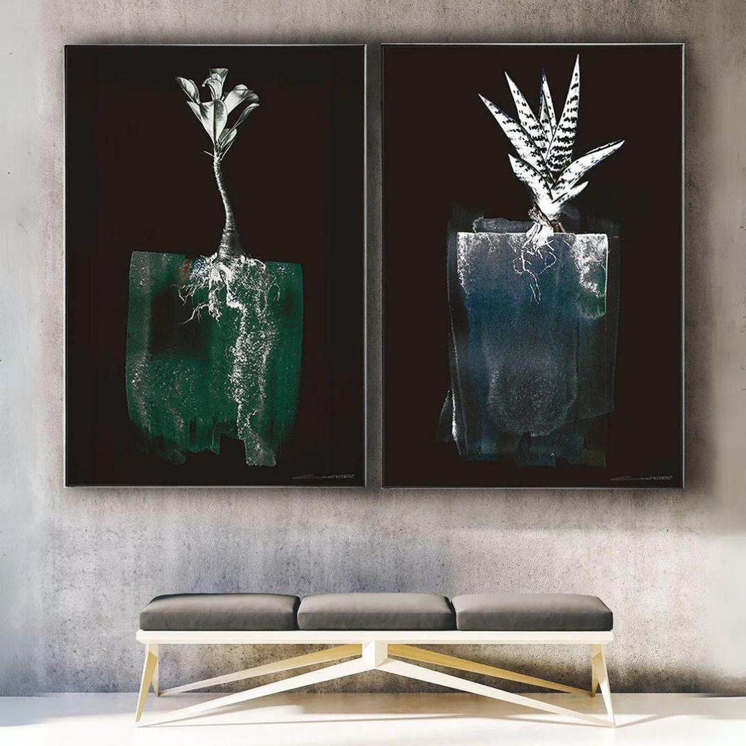 Alchemist Shadow Abyss Shadow insitu.jpg