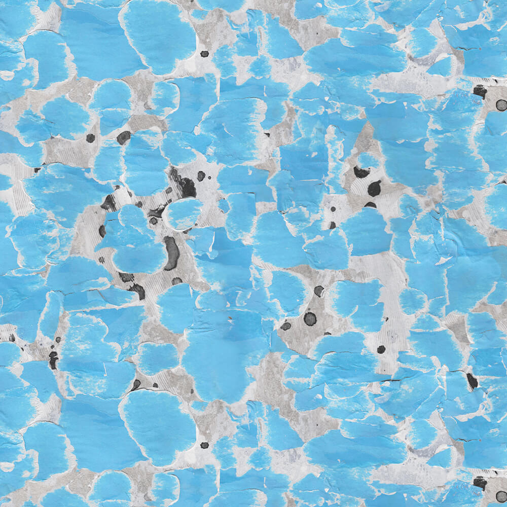 Anemone Aqua Wallpaper
