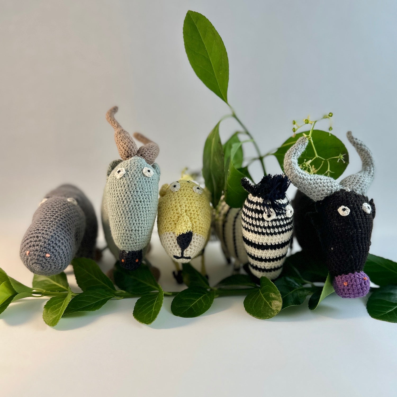 Animal group.jpg