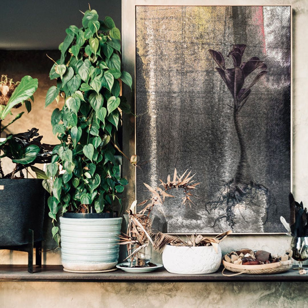 Awake Shadow Insitu.jpg