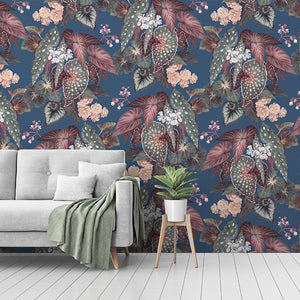 Begonia - Blue Wallpaper