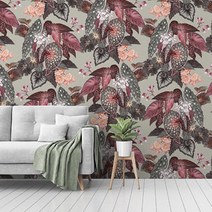 Begonia - Grey Wallpaper