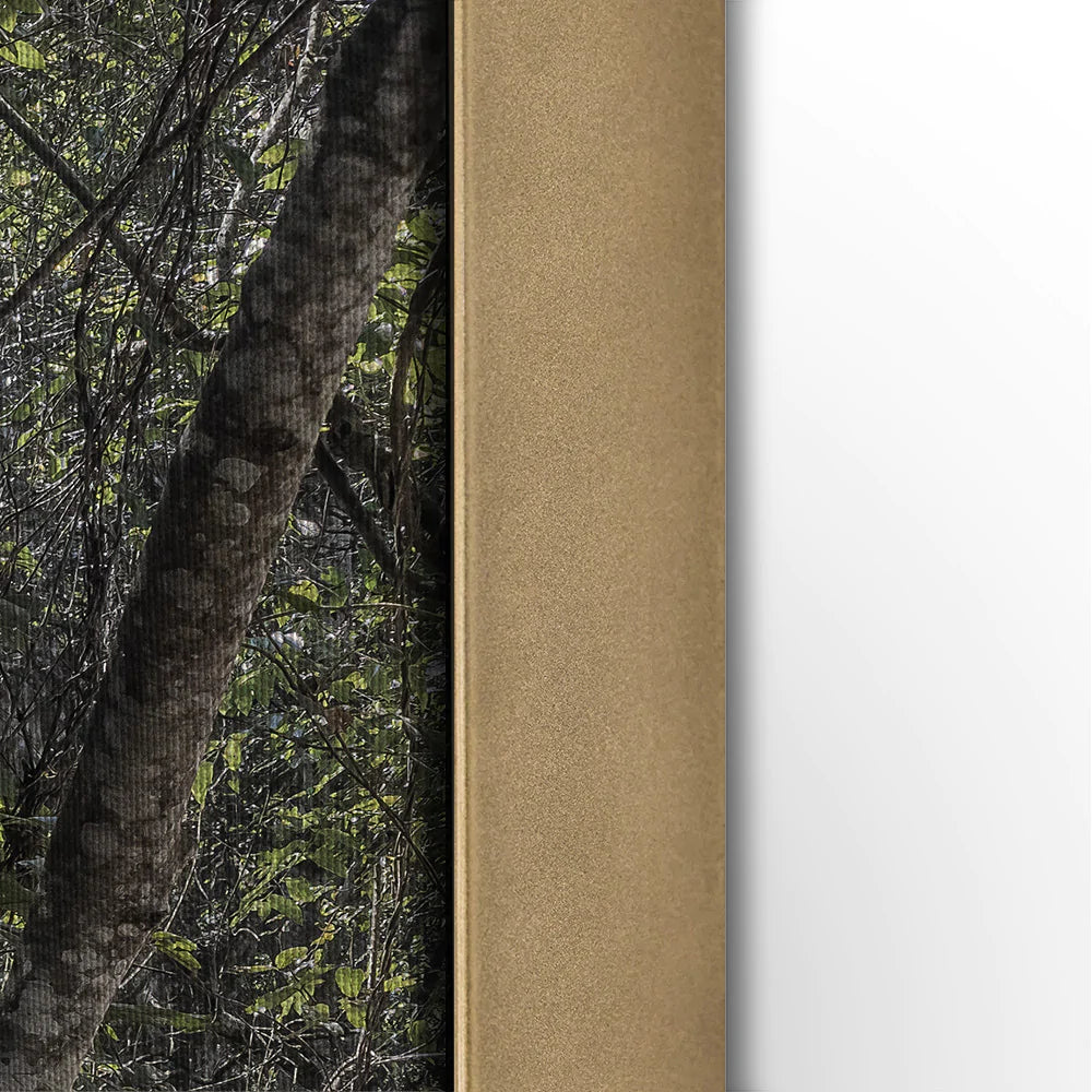 Brass-Frame_fe864f14-53af-4294-adc7-1222eada2b2f.jpg