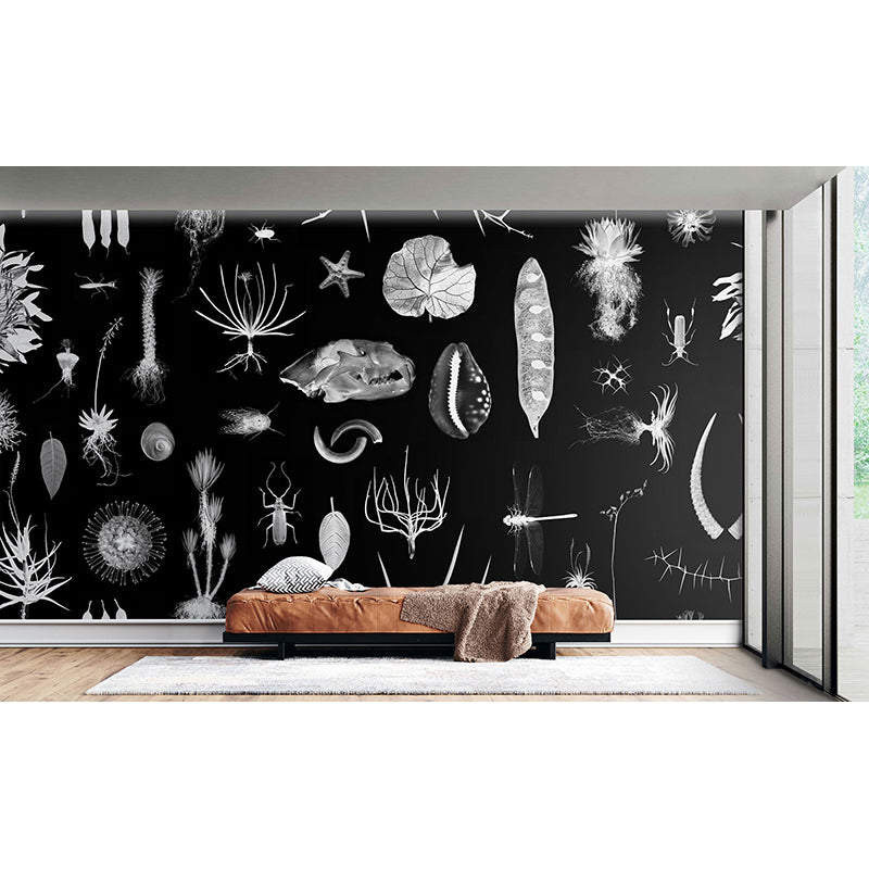 Cabinet of Natural Curiosities (black) Wallpaper