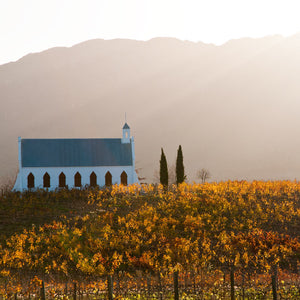 Chapel in the Vineyard