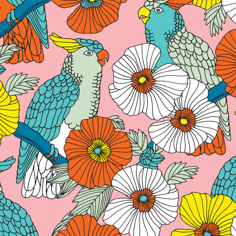 Cockatiel – Pink Wallpaper