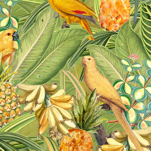Colorful-birds-in-jungle-with-bananas_800x800_e9aba085-8380-434d-8574-3fd6f2917c66.jpg