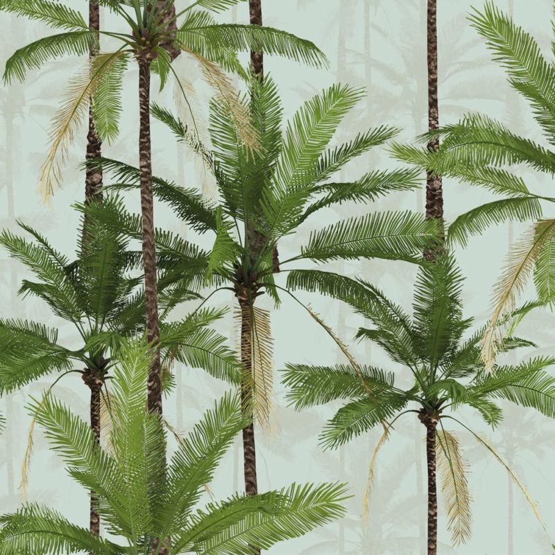 Crazy Palms Wallpaper