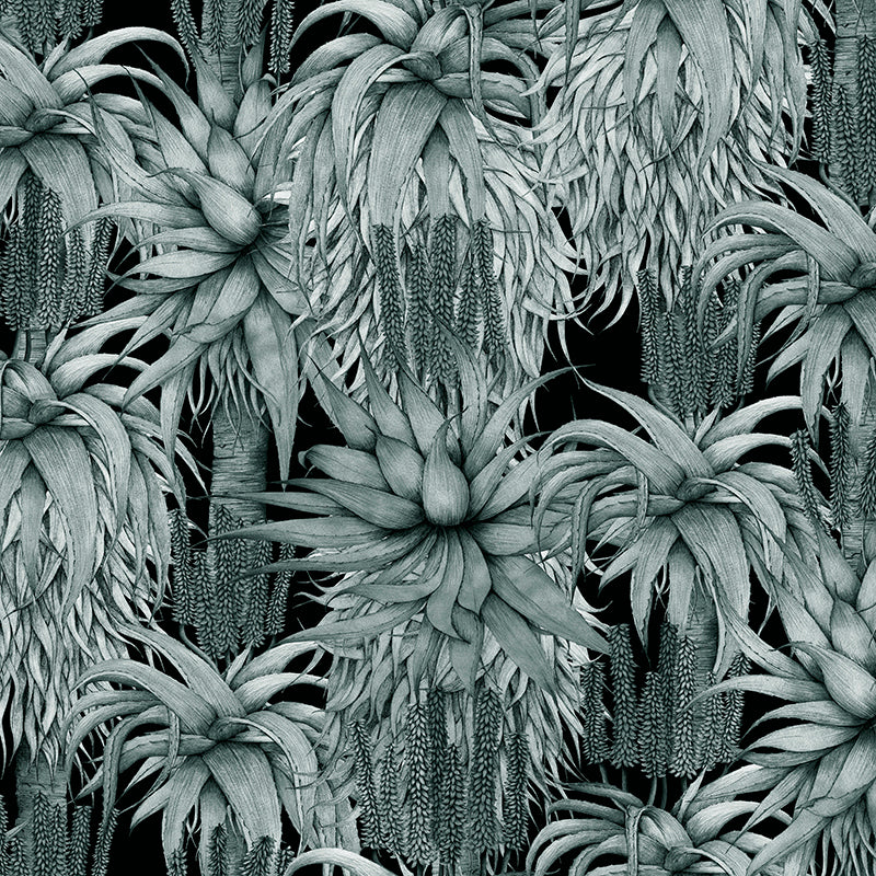 Dancing Aloes – Black And White Wallpaper
