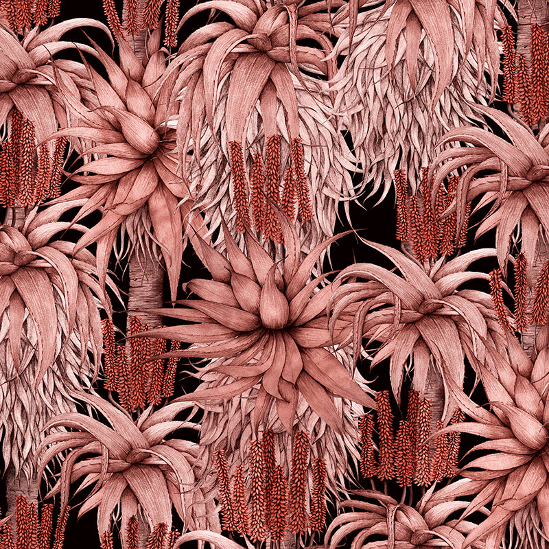 Dancing Aloes – Red Wallpaper