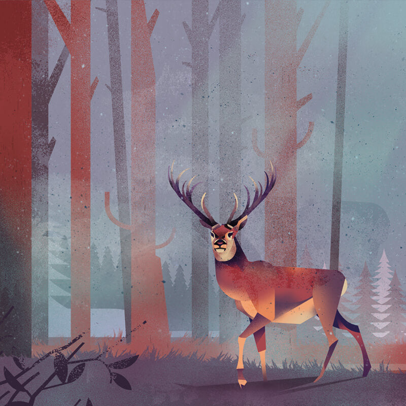 Deer 1 Wallpaper