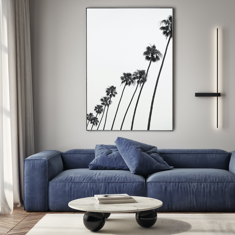 DesertFanPalm_2lowres.png
