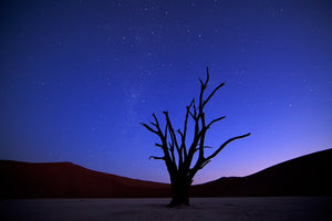 Dusk At DeadVlei Namibia
