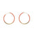 EESAS_6554ce19-875d-4070-9d2d-9b41eadc3b39_1024x1024.jpg