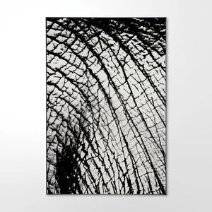 Elephant Limited Edition Artwork