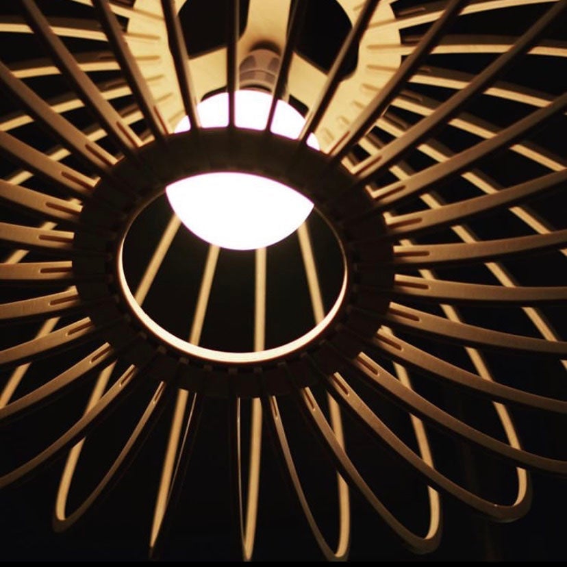 Ellipse Pendant Light