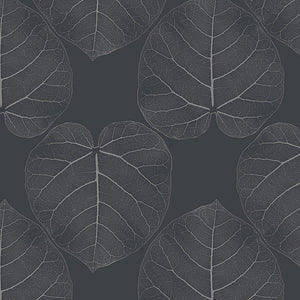 Ficus (Charcoal) Wallpaper