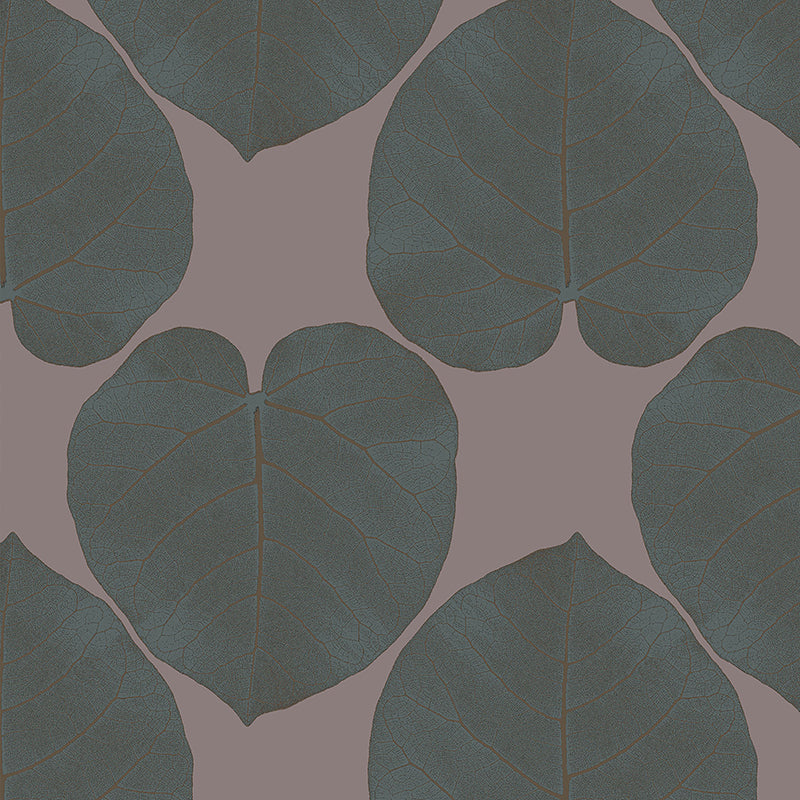 Ficus (Crushed Shell) Wallpaper