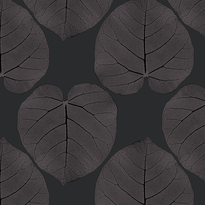 Ficus (Night Iris) Wallpaper