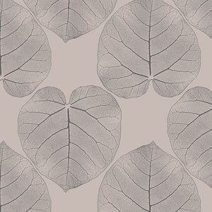 Ficus (Soft Suede) Wallpaper