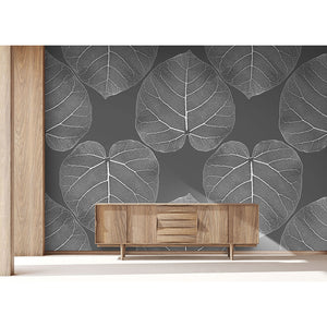 Ficus (Atmosphere) Wallpaper